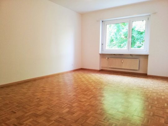 RUHIGE WOHNUNG IN RIEHEN - Foto 1