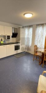 MÖBLIERT, RENOVIERT UND SOFORT VERFÜGBAR - Photo 3