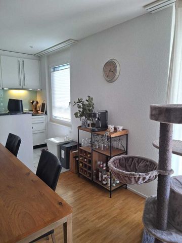 3-ROOM APARTMENT IN LUCERNE, FURNISHED, TEMPORARY - Foto 4