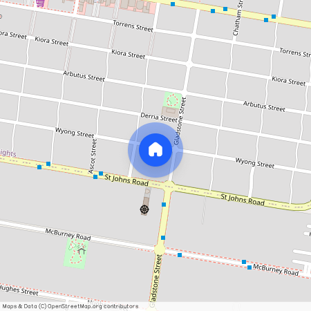 54 Wyong St, Canley Heights NSW