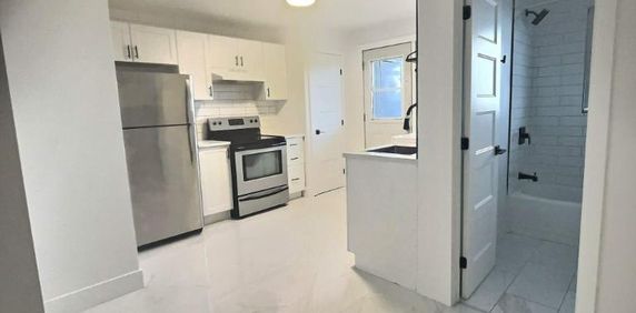 1 CH - 1 SDB - Montréal - $1,195 /mo - Photo 2