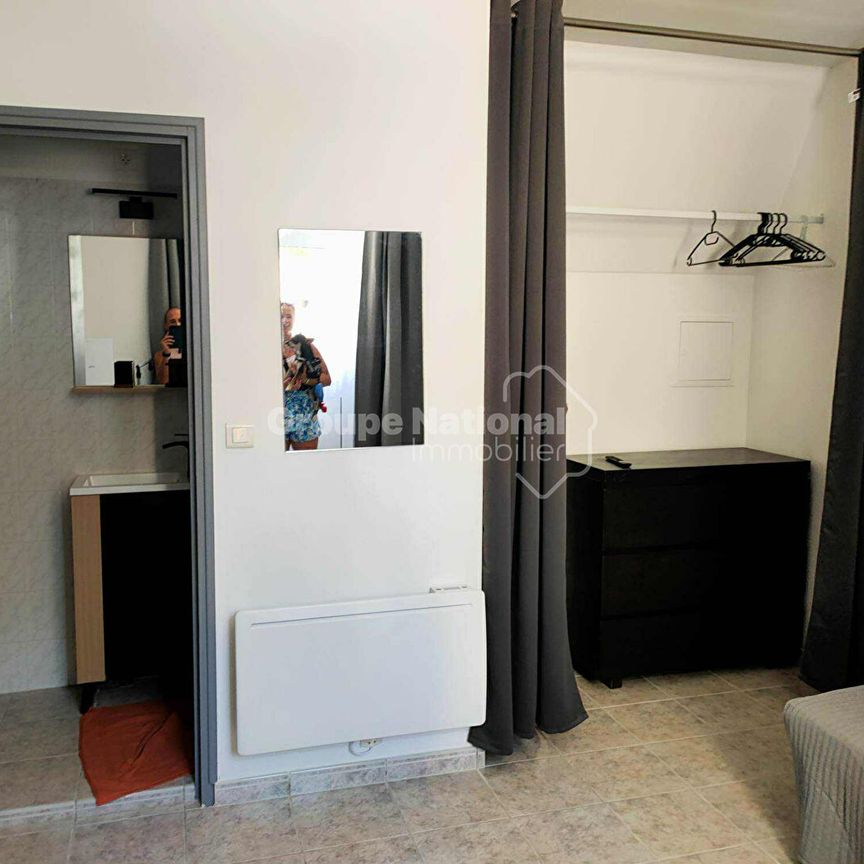 Location Appartement 1 pièce 17m² - Photo 2