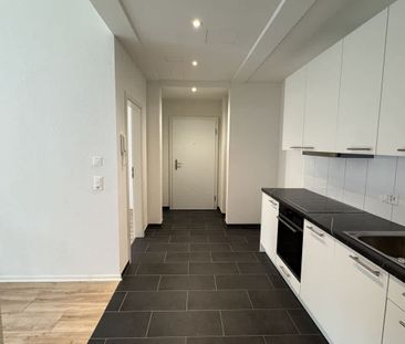 2.5 Zimmer, EG - Photo 1