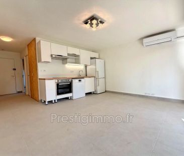 La sarazine, Location appartement 1 pièce 33 m² - Photo 2