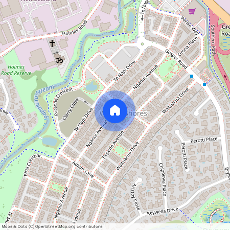 18 Nganui Avenue, Takanini, Papakura