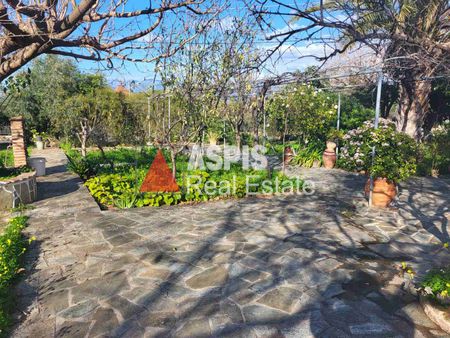 Μονοκατοικία, προς ενοικίαση Ανθηδώνος Κωδικός 1428189 - Photo 2