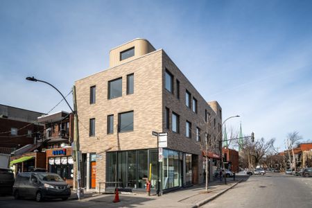 Condo for rent, Montréal (Rosemont/La Petite-Patrie) - Photo 4