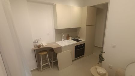 Studio/Γκαρσονιέρα για ενοικίαση Καλλιθέα - Άγιοι Θεόδωροι (Συκιές) - Photo 3
