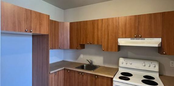 4 1/2 disponible avec possibilité de stationnement - Photo 2