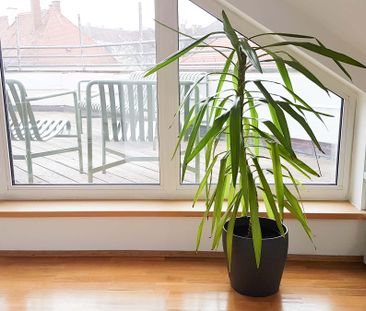 Kamin Room 6 Standard+ - Photo 1