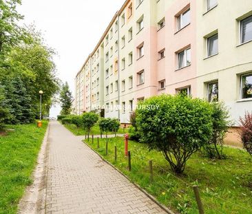 Mieszkanie Kraków Stare Miasto powierzchnia 15.0 m² C206-WM-89370 - Photo 2