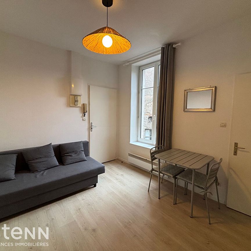 Location Appartement 1 pièce 20m² - Photo 1