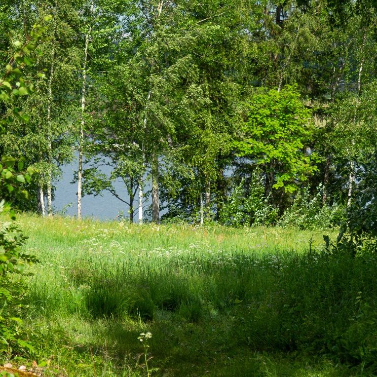 Björkgatan 41 - Foto 1