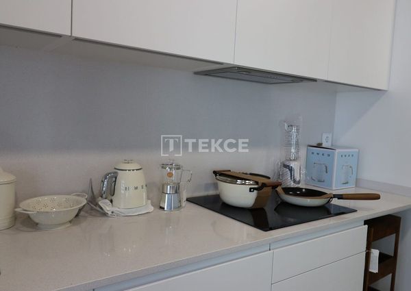 Badalona, La Morera, Barcelona, Catalonia 08918