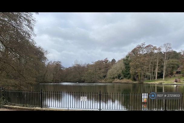 1 bedroom in a house share to rent - Photo 1