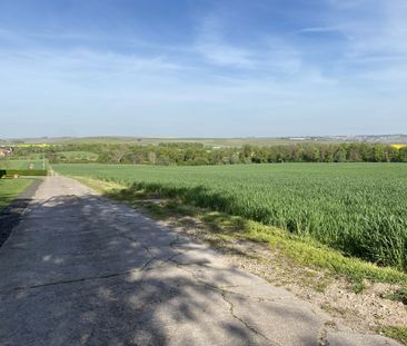 Saniertes Apartment in Feldrandlage in Nieder-Olm - Photo 5