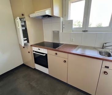 2.5 Zimmer, 50 m², 1. Stock - Photo 1