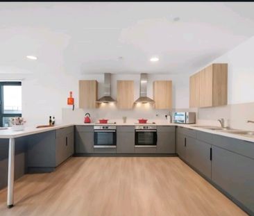 Room in a Shared Flat, Barnard Point, HA9 - Photo 5