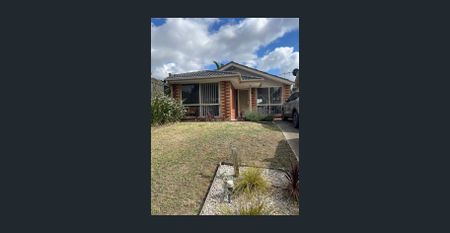 Your Perfect Starter! - Photo 4