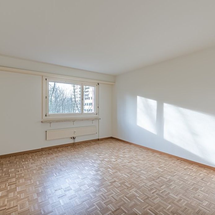 1 Zimmer-Wohnung in Basel mieten - Foto 1