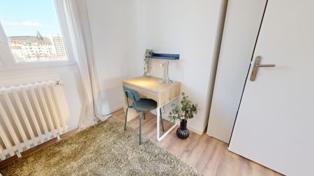 ANATOLE FRANCE L Roommate 3 Bedrooms at Clermont Ferrand - Photo 2
