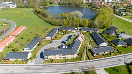 Gråbølle - Photo 2