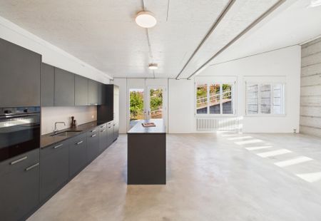Einzigartige Loftwohnung mit attraktiver Sonnenterrasse - Foto 4