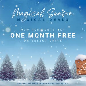 The West Mall Apartments - Photo 2