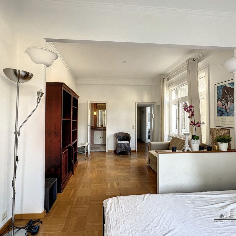 Appartement / studio de 48m² avec balcon - Toison d'Or - Photo 1