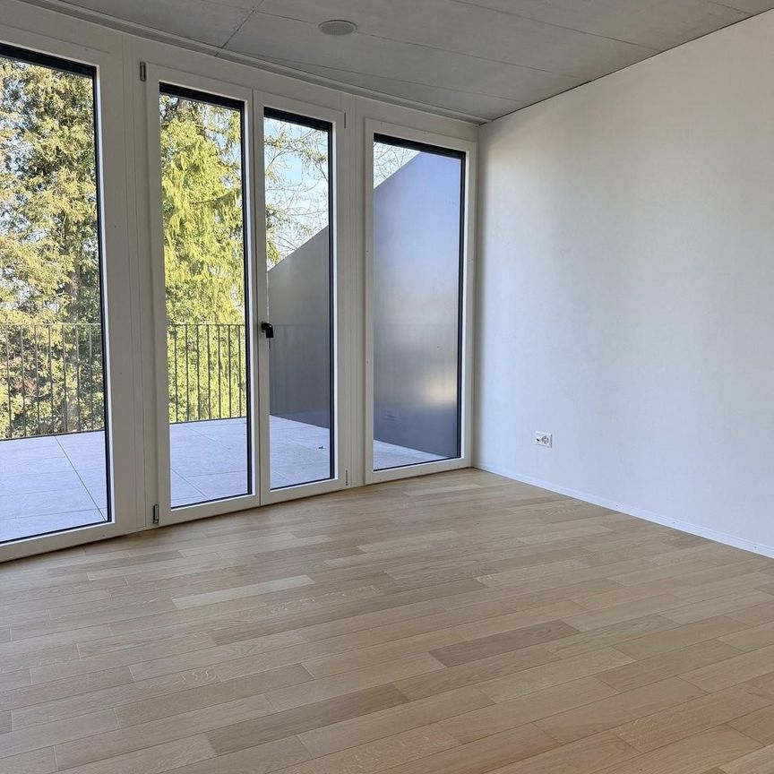 Modernes Attikawohnen im Neubau - 4.5 Zimmer mit riesiger Terrasse - Photo 1
