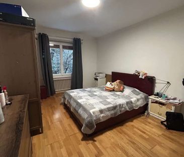 2 Zimmer, 55 m², Untergeschoss - Photo 3