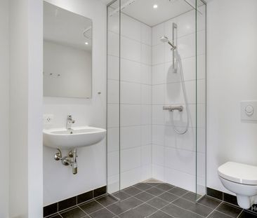 Velkommen til Hørparken! - Photo 6