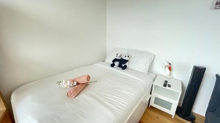 Rue Théodore-Hamont - Photo 5