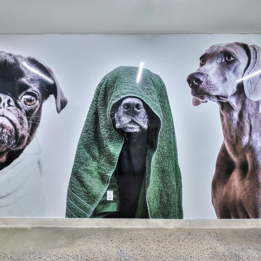 Story of Rideau & Chapel - Photo 1