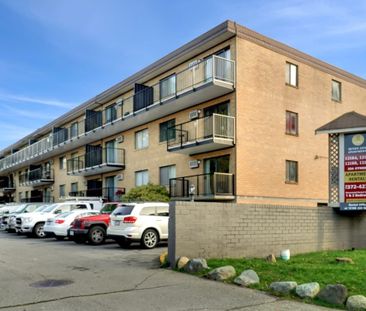 Queen Anne Apartments - 1 Bedroom - Photo 4