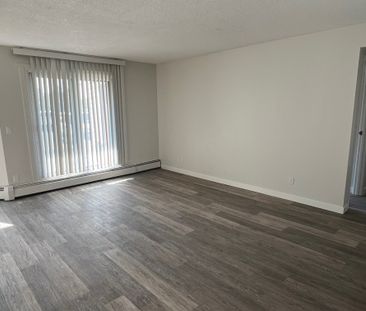 FULLY RENOVATED TWO BEDROOM ~ SMALL PET FRIENDLY! - Photo 3