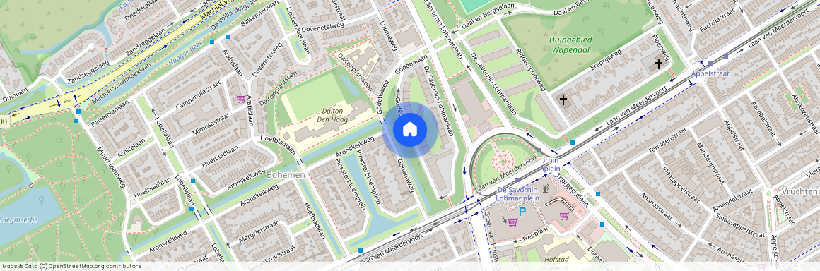 Bohemen en Meer en Bos, 2555 RN, Godetiaweg, Den Haag