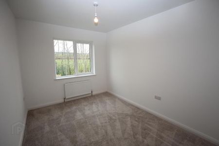 15 Park Mews, Newtownabbey, BT36 4BF - Photo 3