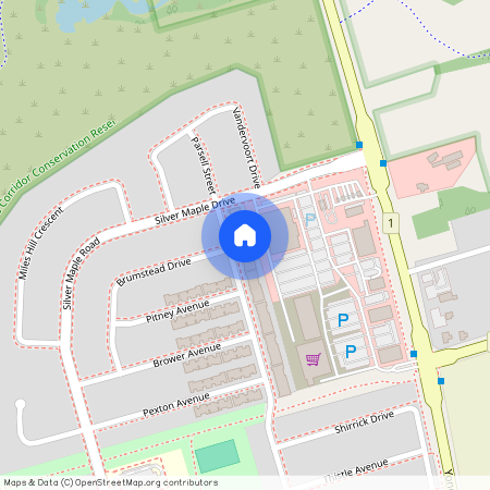 137 Windrow Street, Richmond Hill