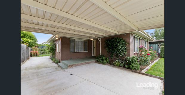 Feel-Good Living in the Heart of Ruthven Street! - Photo 1