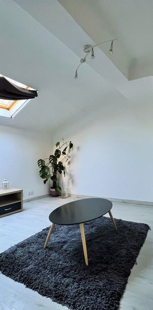 Location Appartement 1 pièce 29m² SARREBOURG 57400 - Photo 1