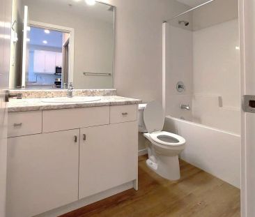 Terra Alta A — 1 Bedroom - Photo 5