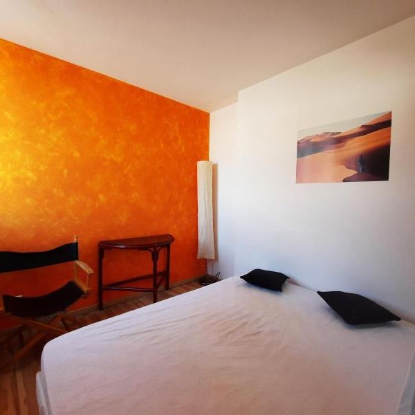 Location Appartement 1 pièce 34m² CASTRES 81100 - Photo 1