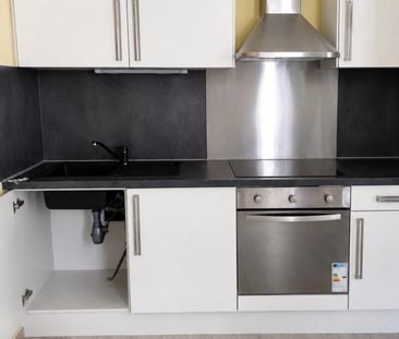 Location Appartement 1 pièce 42m² RUMILLY 74150 - Photo 2