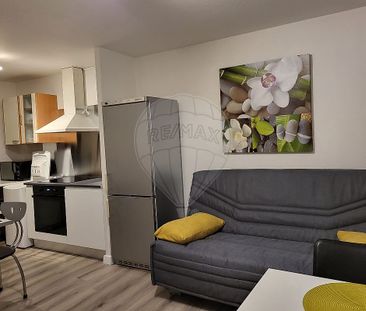 Appartement 1 chambre(s) à louer - Montbéliard - Photo 2