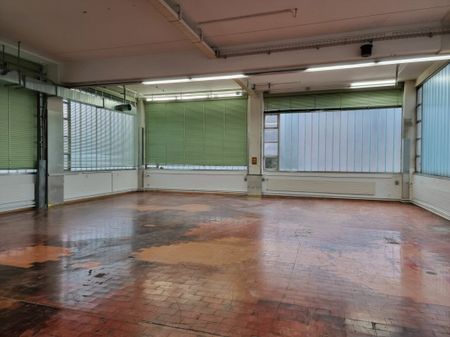 300 m², EG - Photo 4