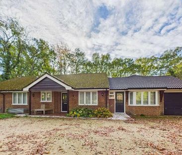 Heathrow Copse, Baughurst, RG26 - Photo 2