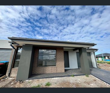 59 Ornament Avenue, Tarneit, Vic 3029 - Photo 4