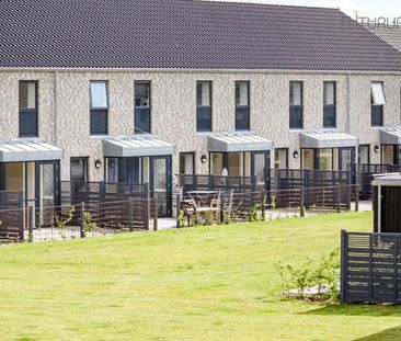 Johannes Rosendahl Parken 38 - Photo 1