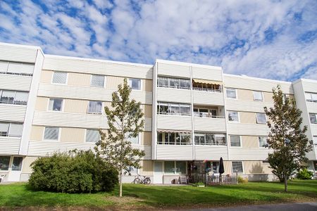 Hamnplan 6 A, 94161, Piteå - Foto 3